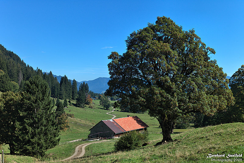 Bernhard Saalfeld - Wiesachweg (9v9)